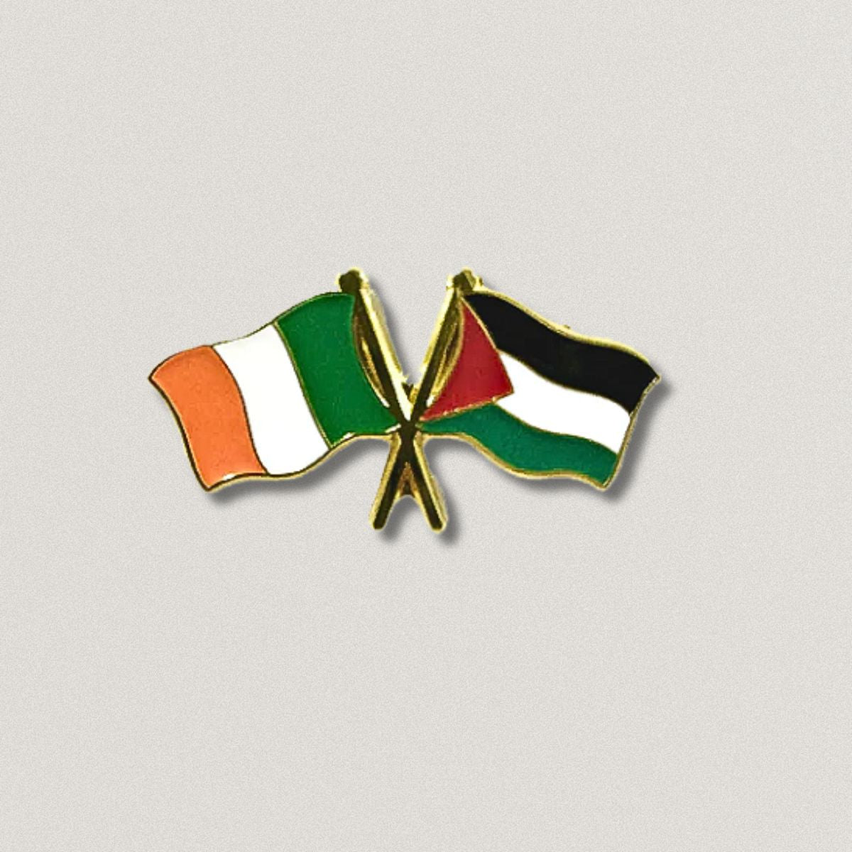 Ireland & Palestine badge