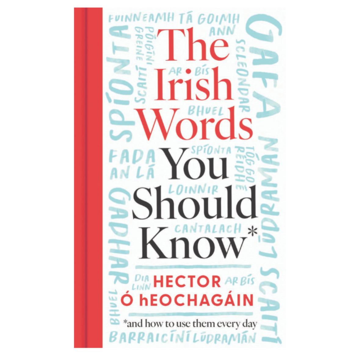 The Irish Words You Should Know: and how to use them every day by Hector Ó hEochagáin