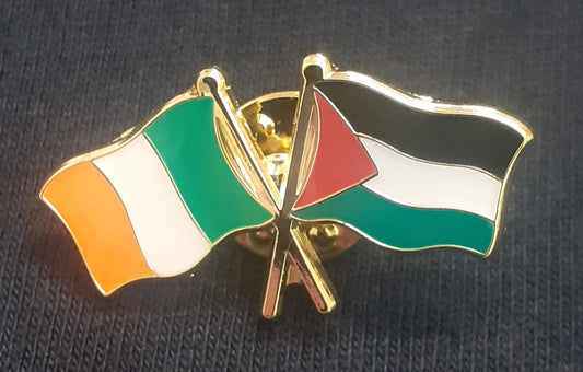 Ireland & Palestine badge