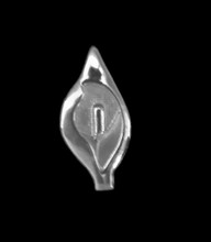 Solid Silver Easter Lily Pin