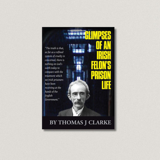 Glimpses of an Irish Felon's Prison Life