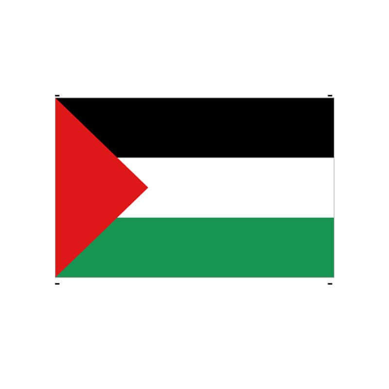 Palestine Flag (Multiple Sizes)