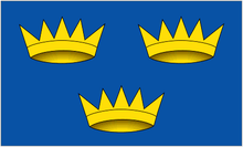 Munster flag