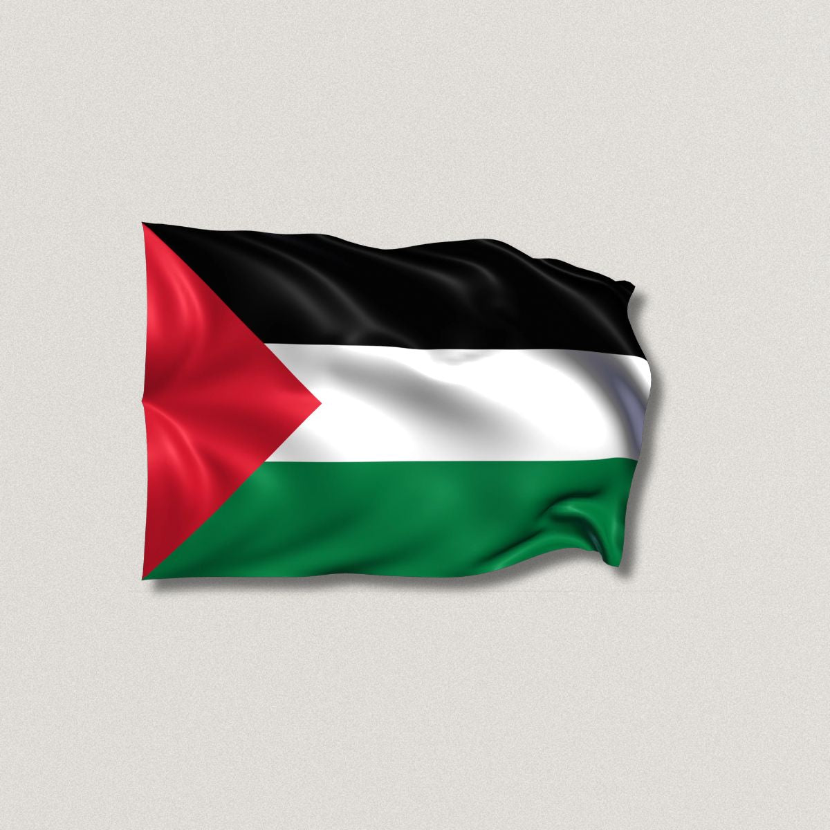 Palestine Flag (Multiple Sizes)