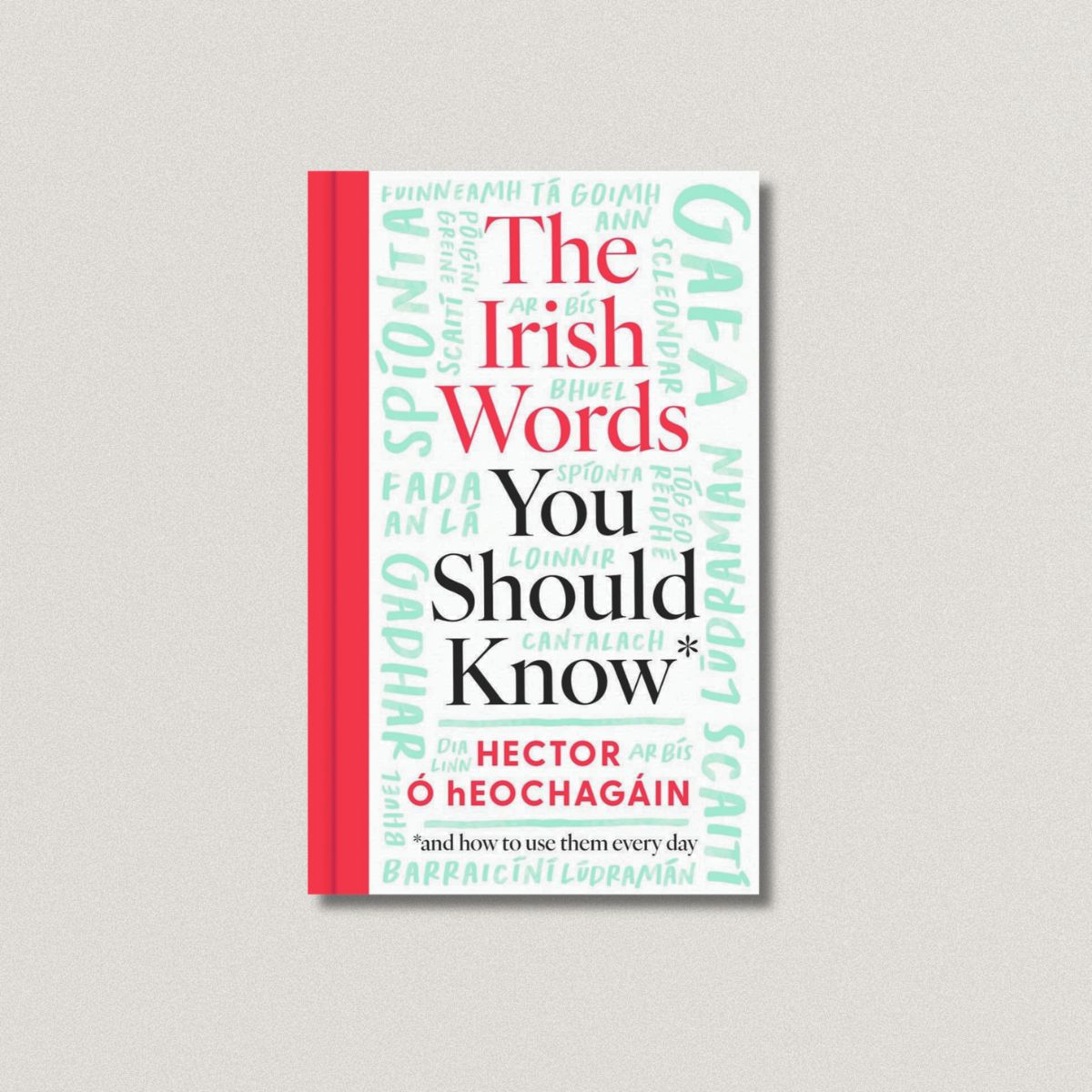 The Irish Words You Should Know: and how to use them every day by Hector Ó hEochagáin (Redesign)