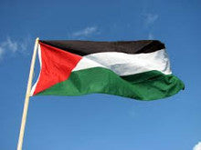 Palestine flag