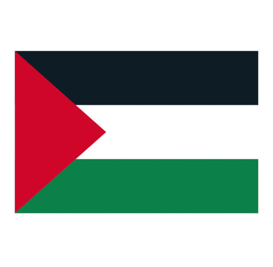 Palestine Flag (Multiple Sizes)